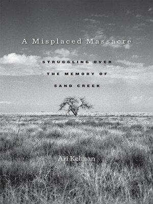 cover image of A Misplaced Massacre